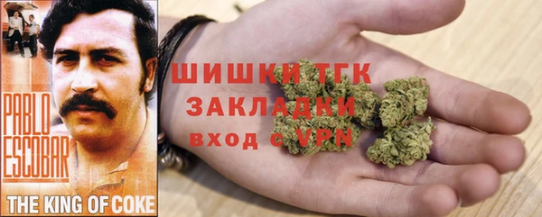 гидра Волосово