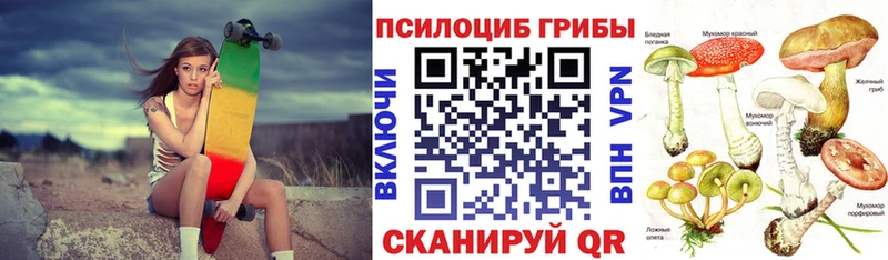Галлюциногенные грибы GOLDEN TEACHER  купить наркотики цена  Волчанск 
